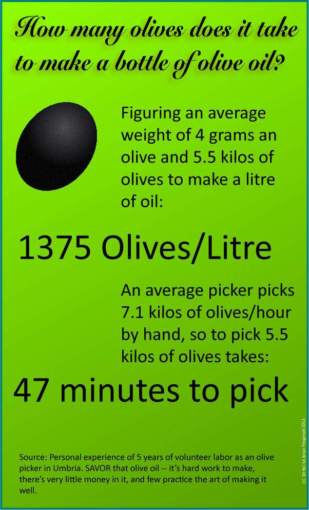 How many olives to make a litre of olive oil?